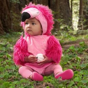 Pottery Barn Baby Flamingo Halloween Costume 0-6months